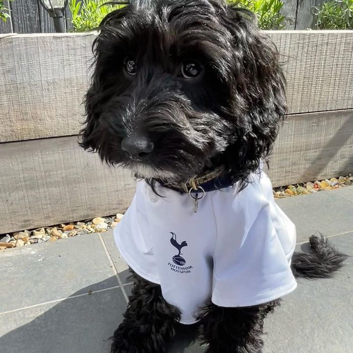 Personalized Spurs Dog Shirt