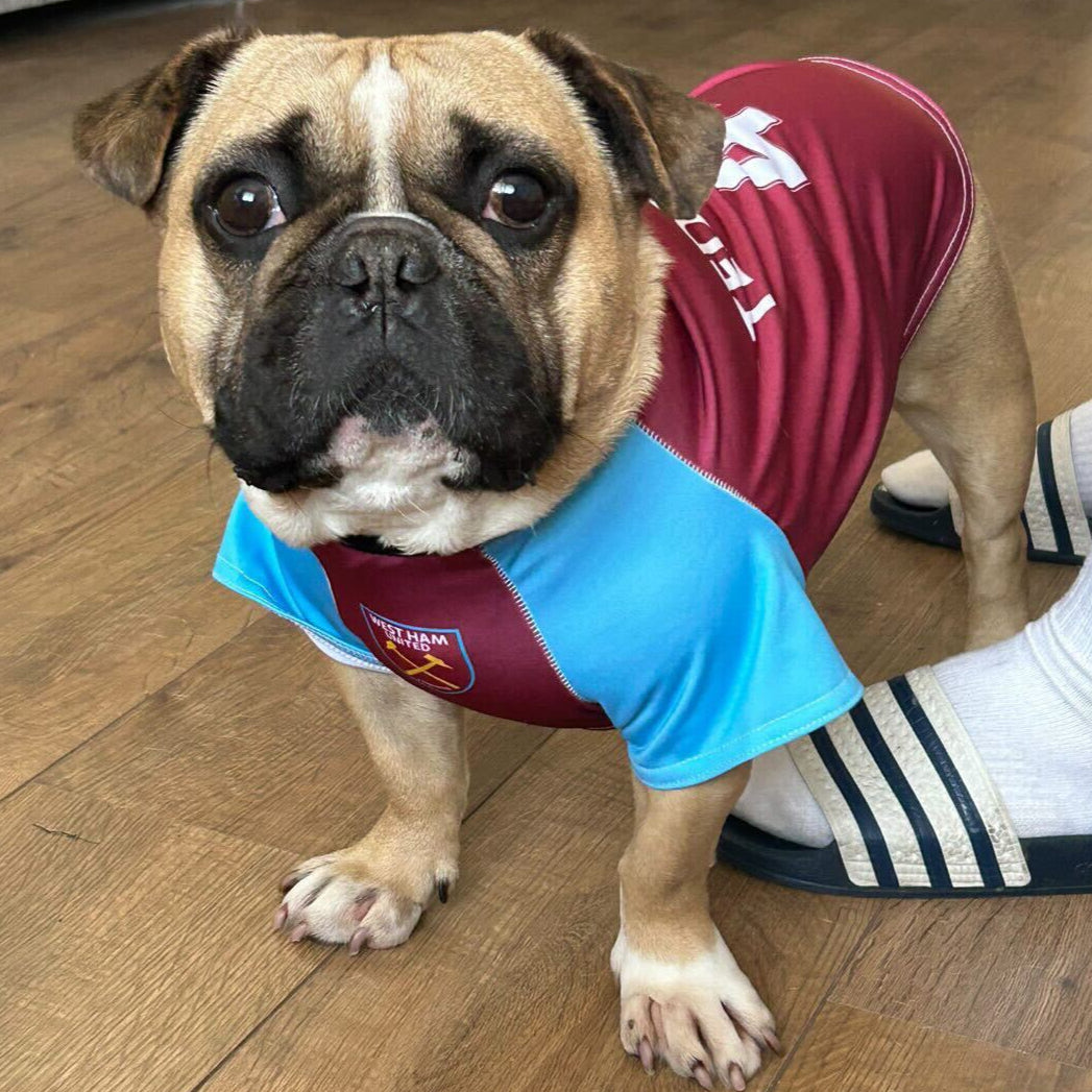 Personalized West Ham Dog Shirt