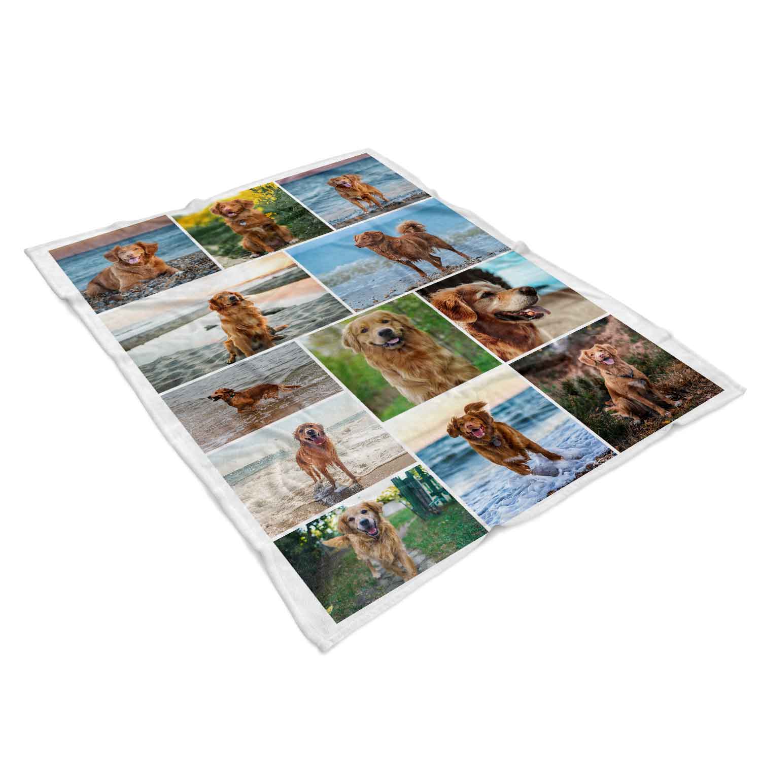 Collage of a dog in various poses on a blanket