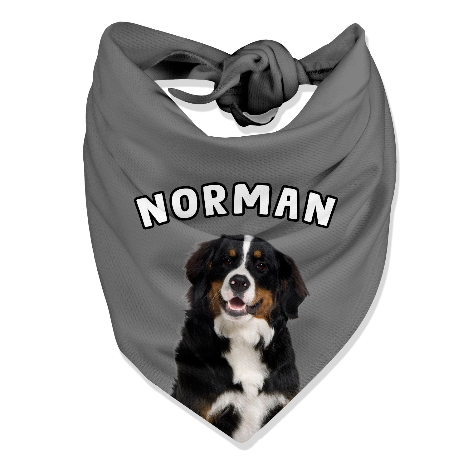 Personalized Name Dog Bandana