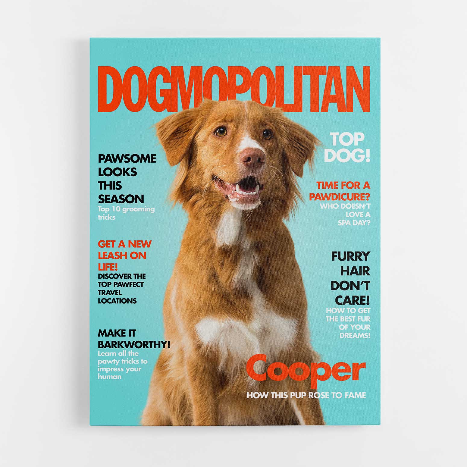 Dogmopolitan  Photo Canvas