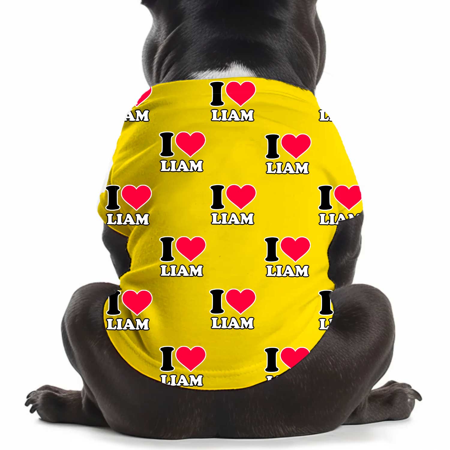 I Heart [Name] Personalized Dog T Shirt