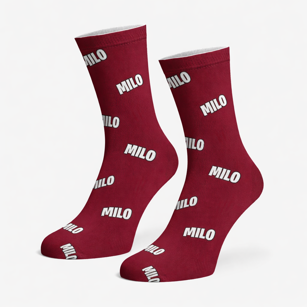 Custom Name Print Personalized Dog Socks