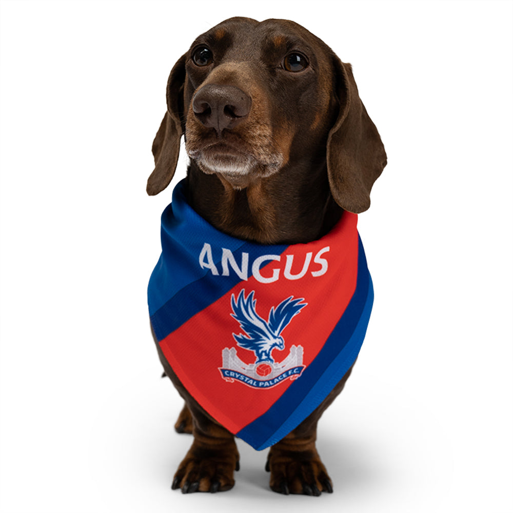 Personalized Crystal Palace Dog Bandana