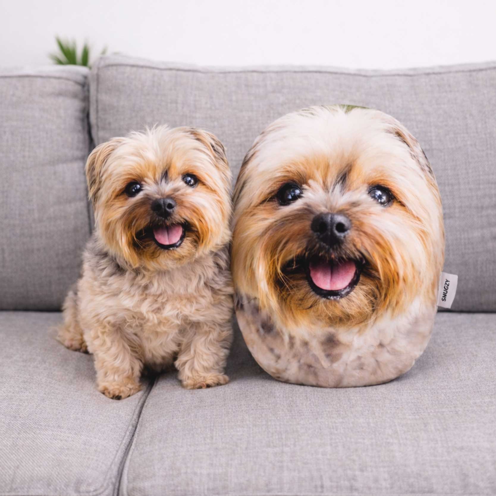 Your Dog Personalized Face Cushion