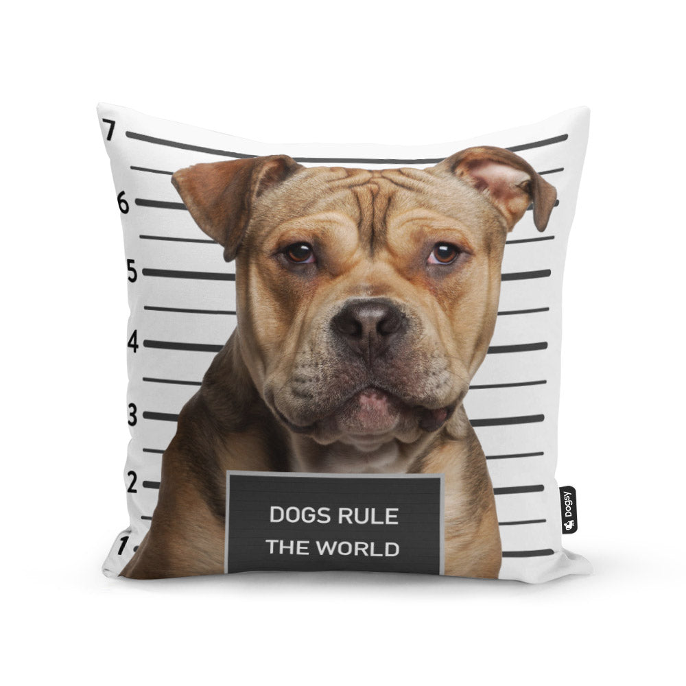 Dog Mug Shot Cushion