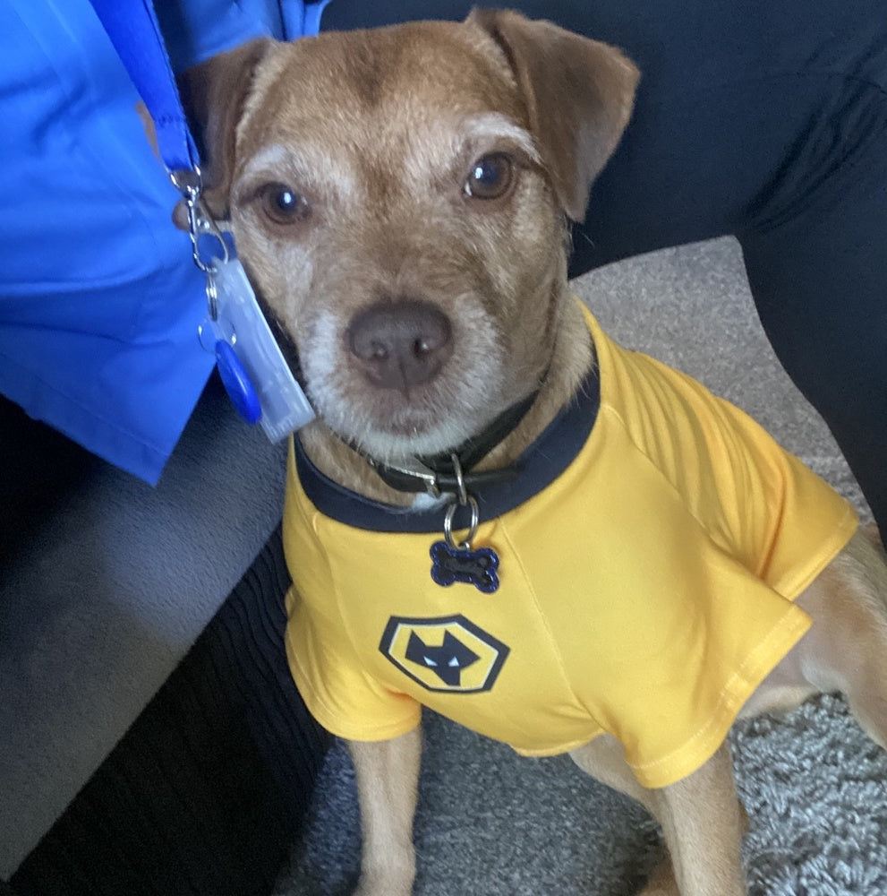 Personalized Wolves Dog Shirt