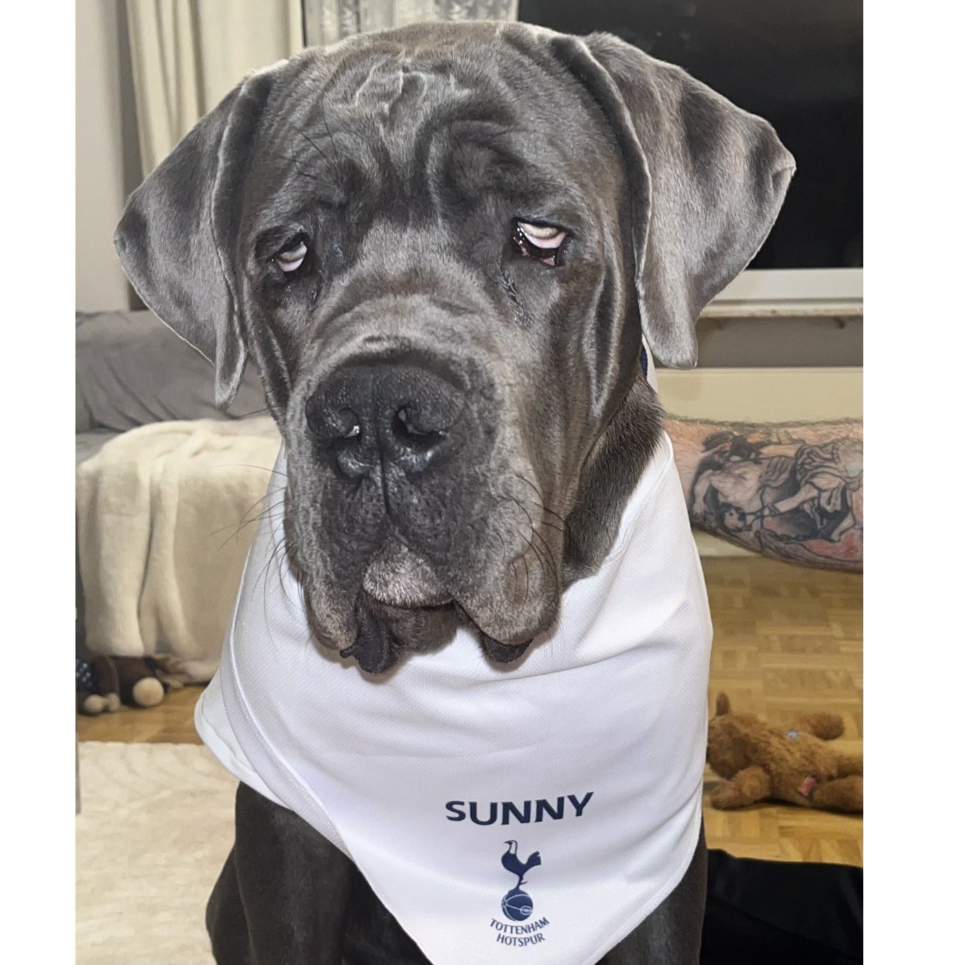Personalized Spurs Dog Bandana