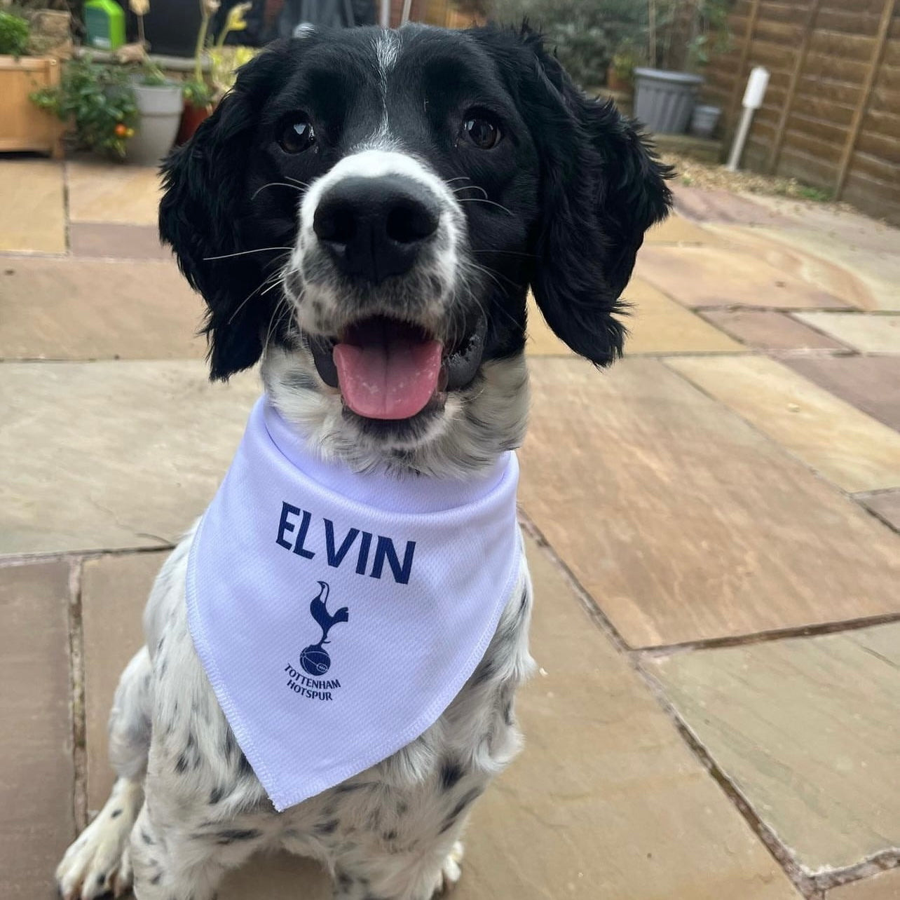 Personalized Spurs Dog Bandana