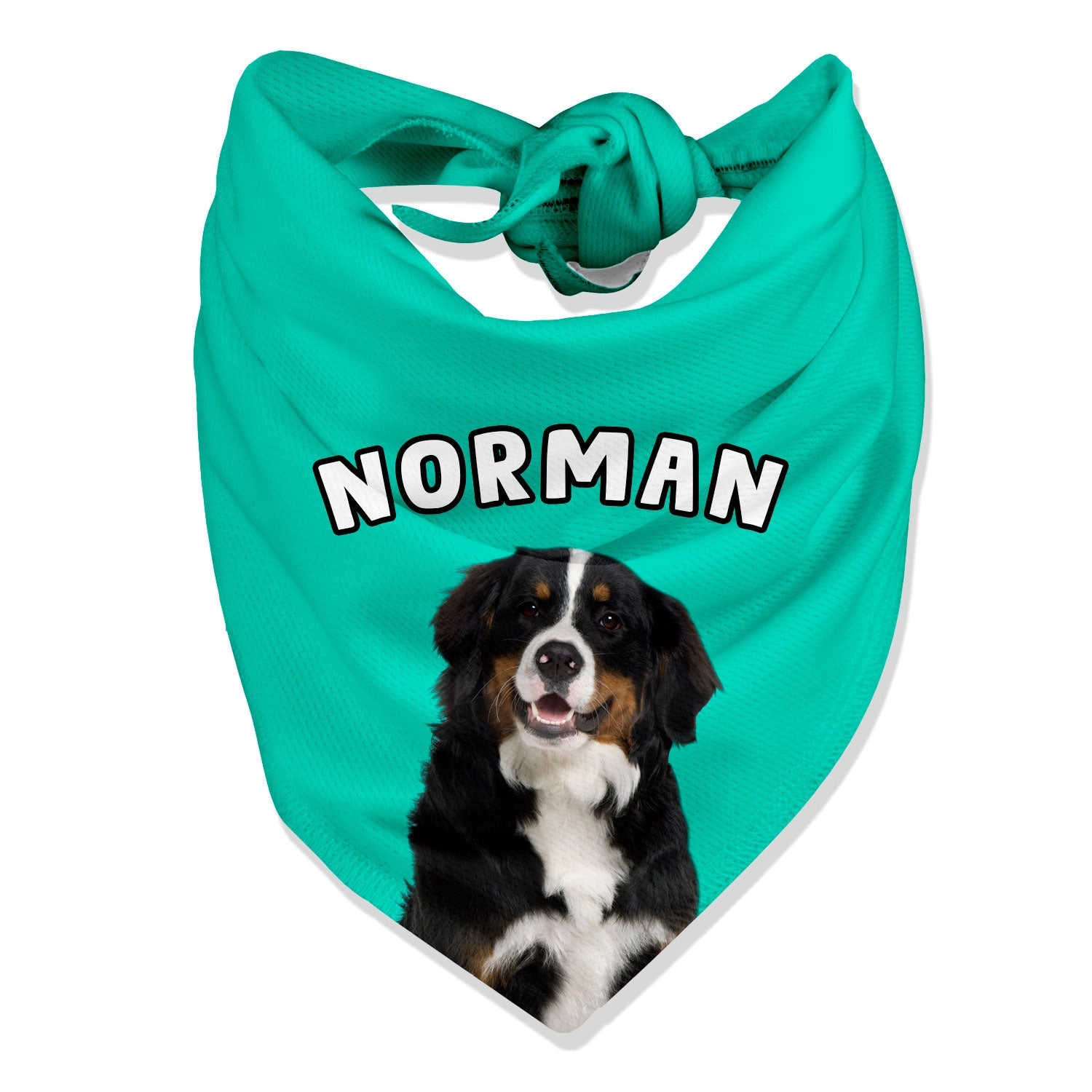 personalized dog bandana with photo and name