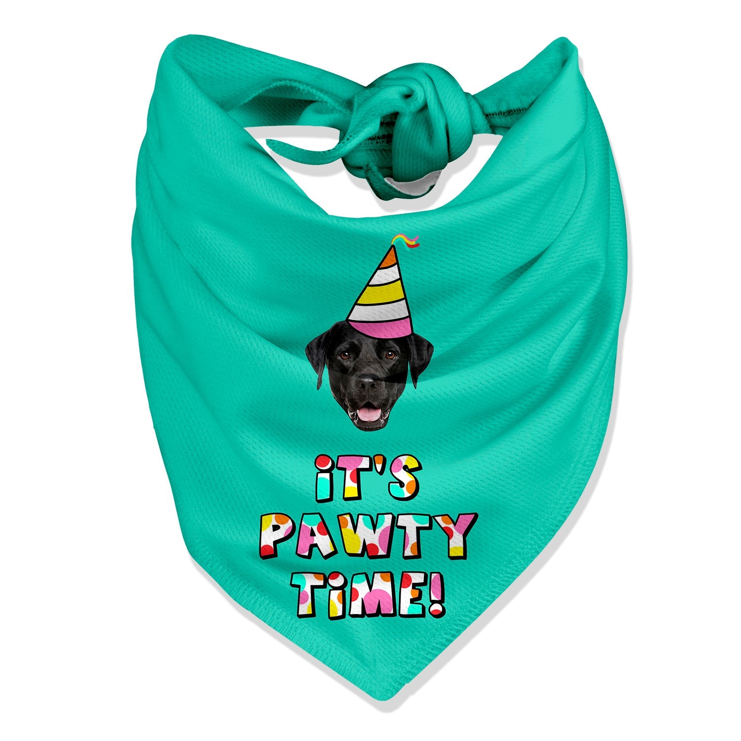 It's Pawty Time Personalized Dog Bandana
