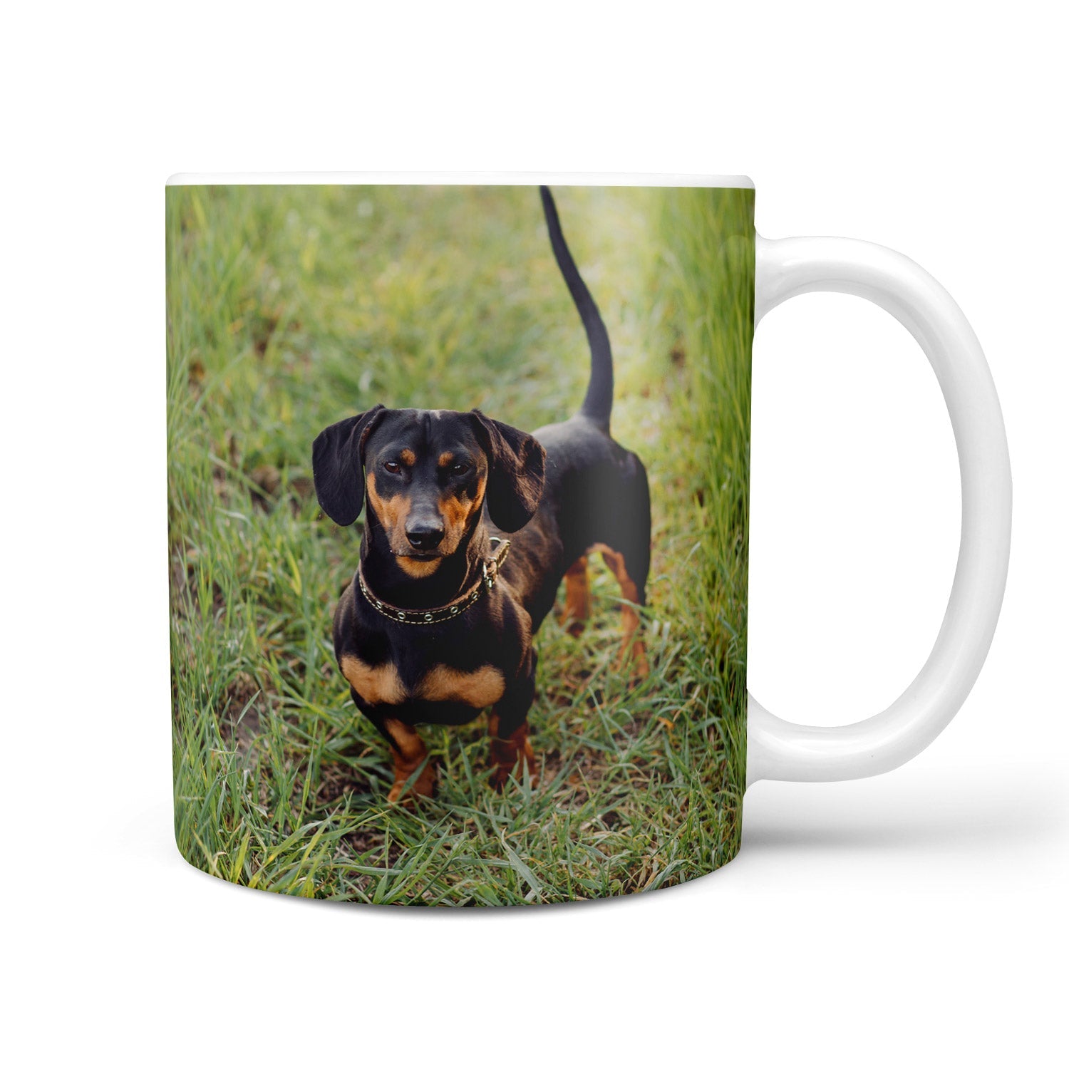 Full Photo Personalized Dog Mug