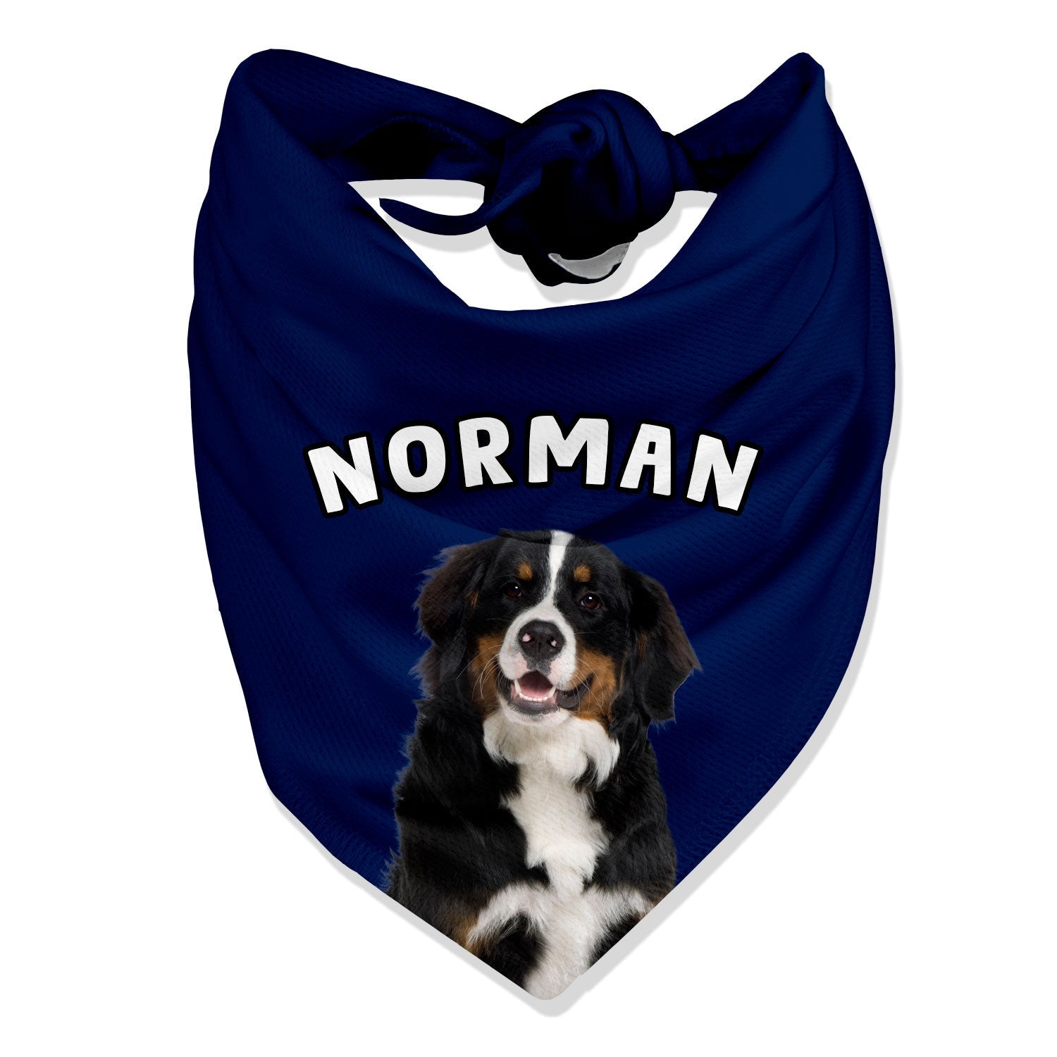 Personalized Name Dog Bandana