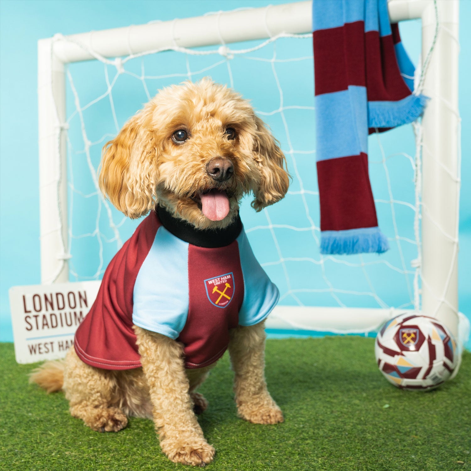 Personalized West Ham Dog Shirt