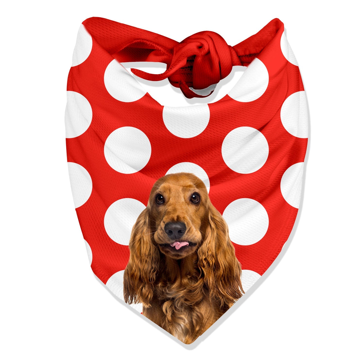 Dogzy Spotty Personalized Dog Bandana
