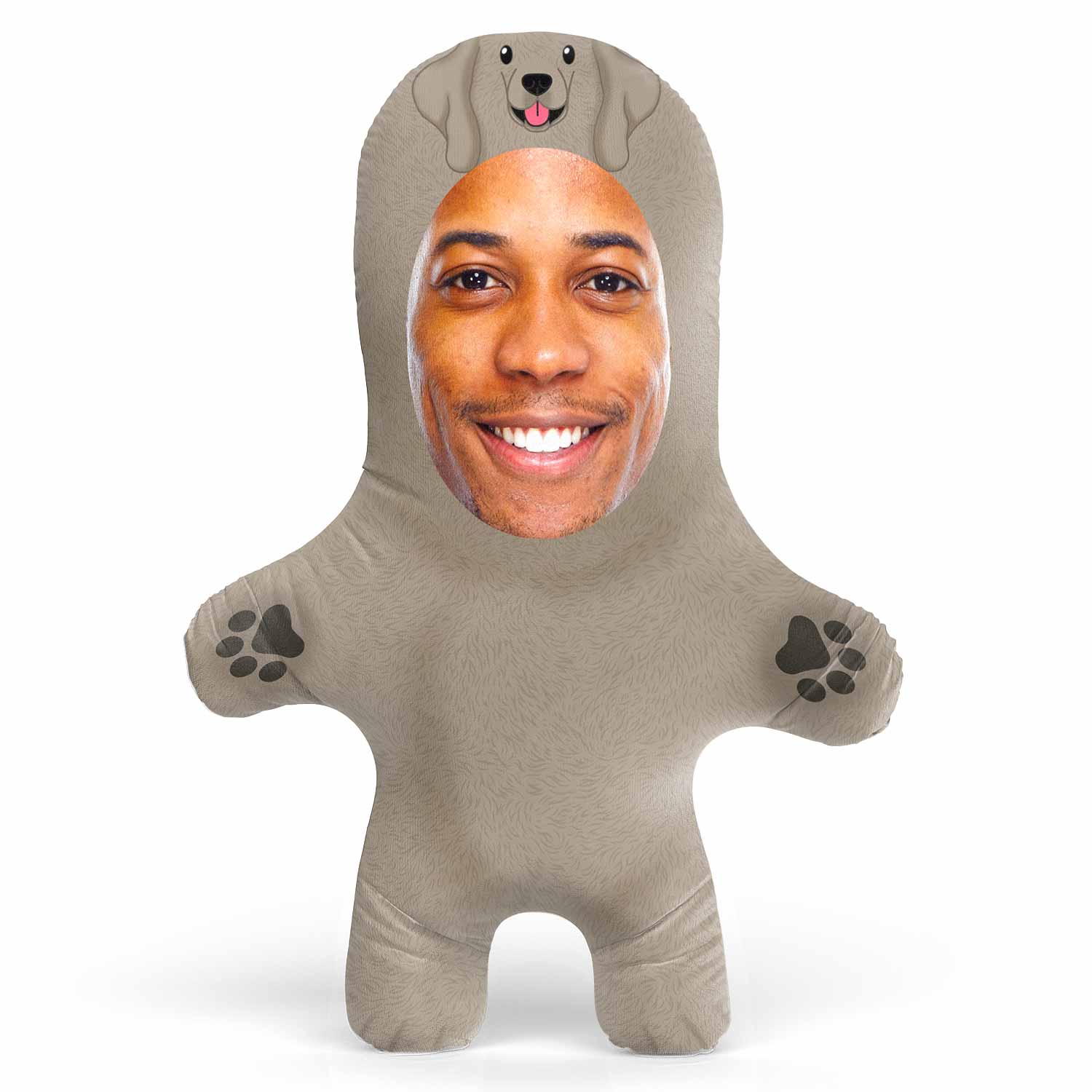 Weimaraner Dog Teddy