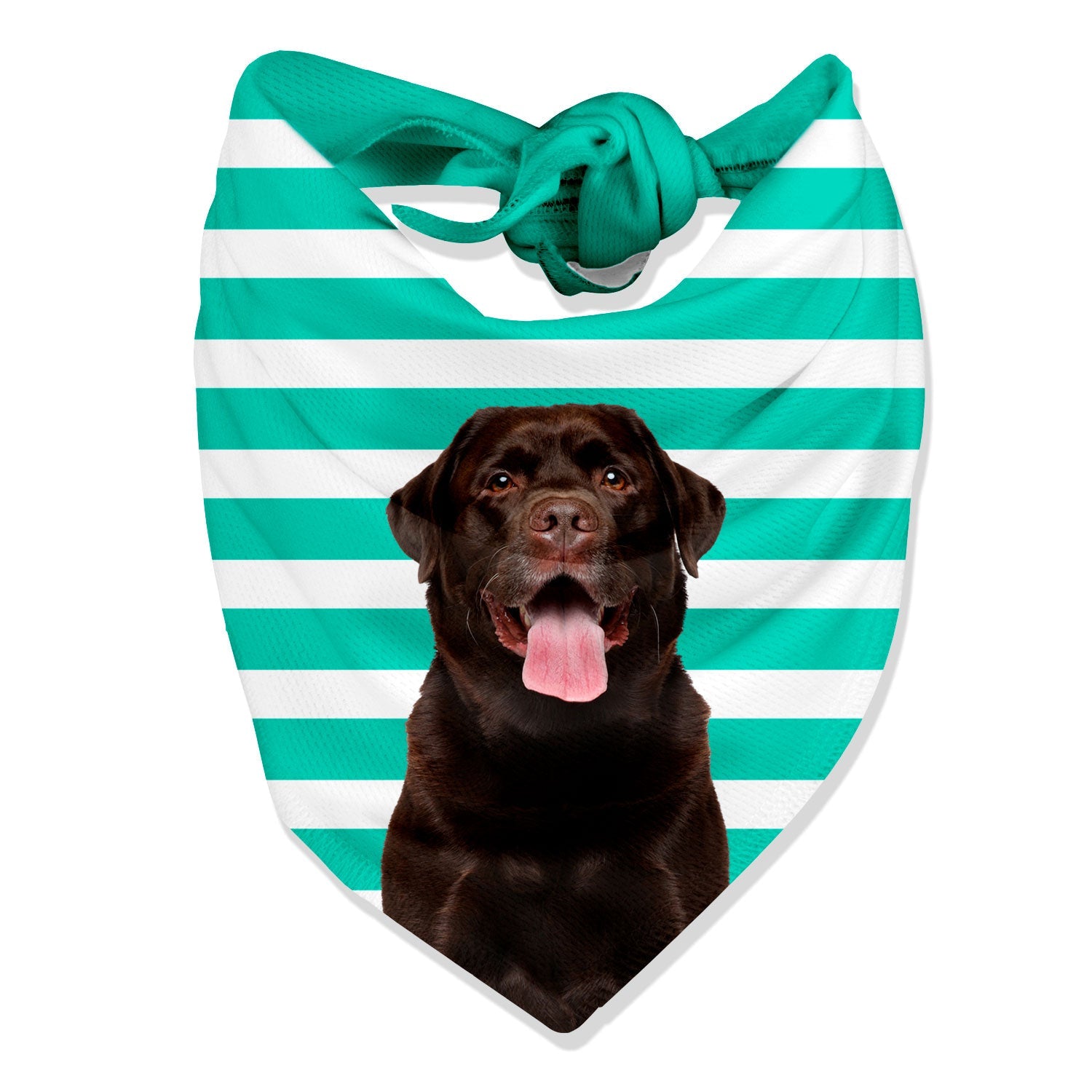 Stripey Personalized Dog Bandana