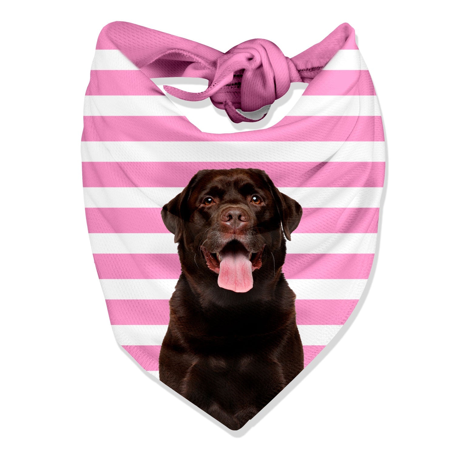 Stripey Personalized Dog Bandana