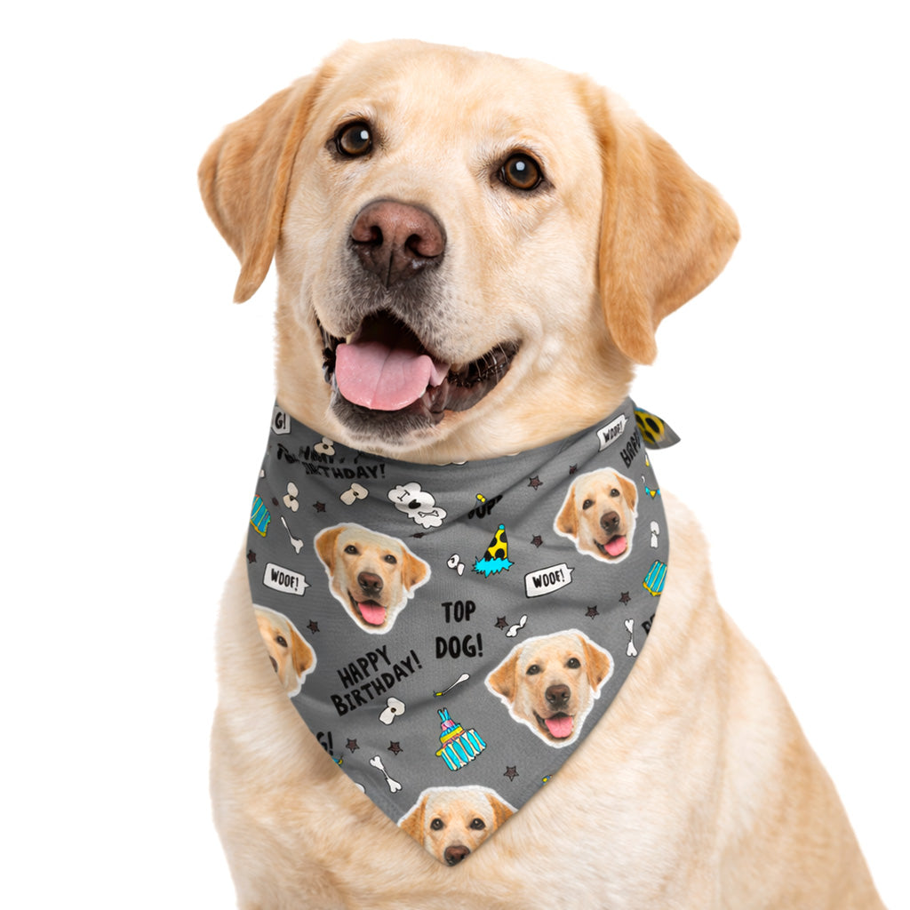 Top Dog Personalized Birthday Bandana