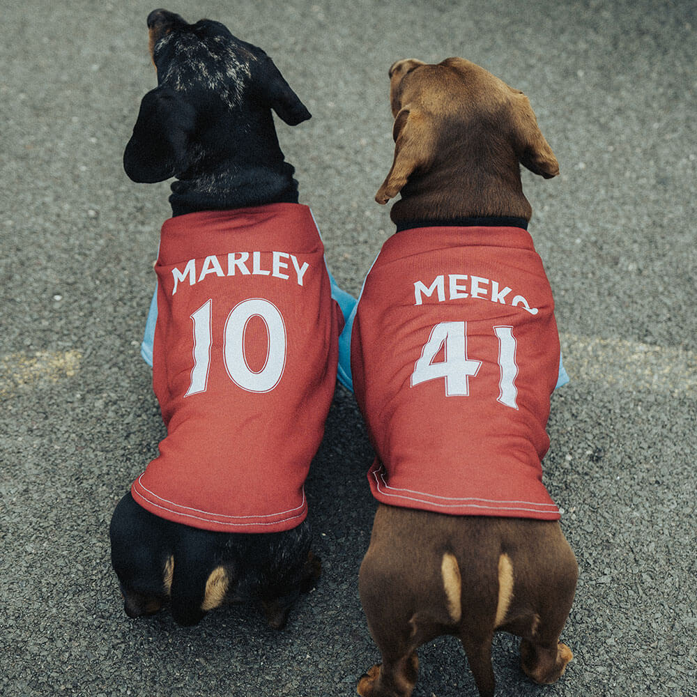 Personalized West Ham Shirt for Dogs