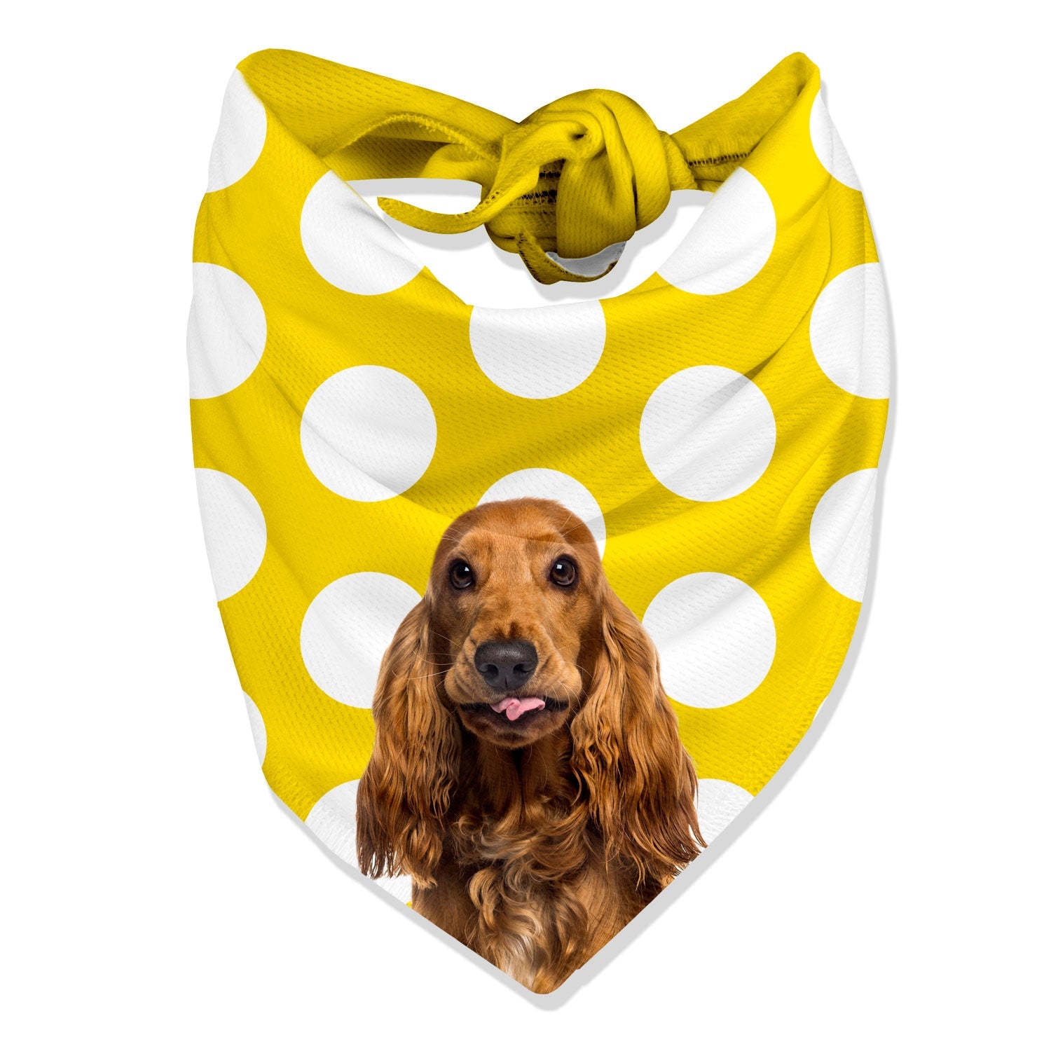 Dogzy Spotty Personalized Dog Bandana