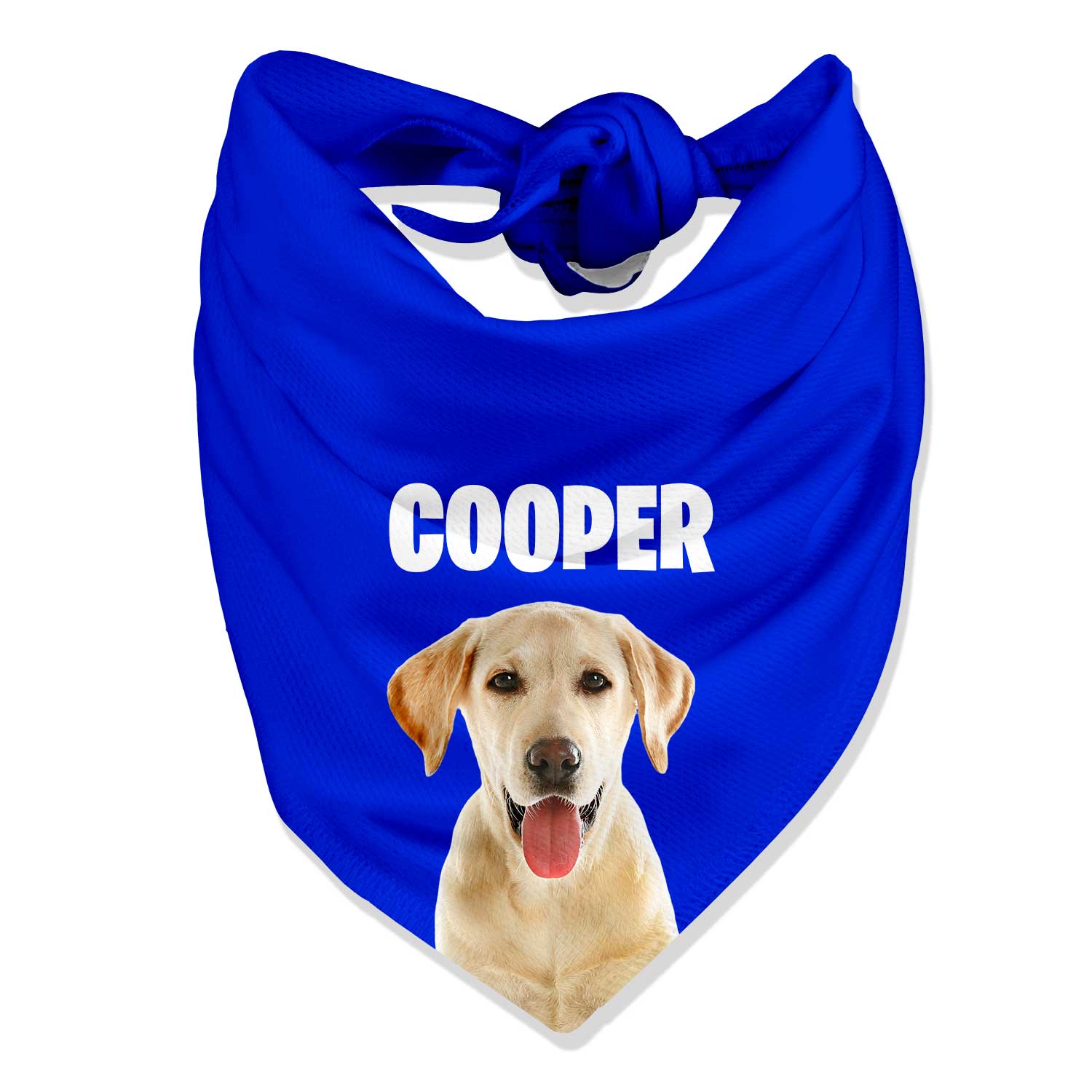 Your Dog Name Personalized Bandana