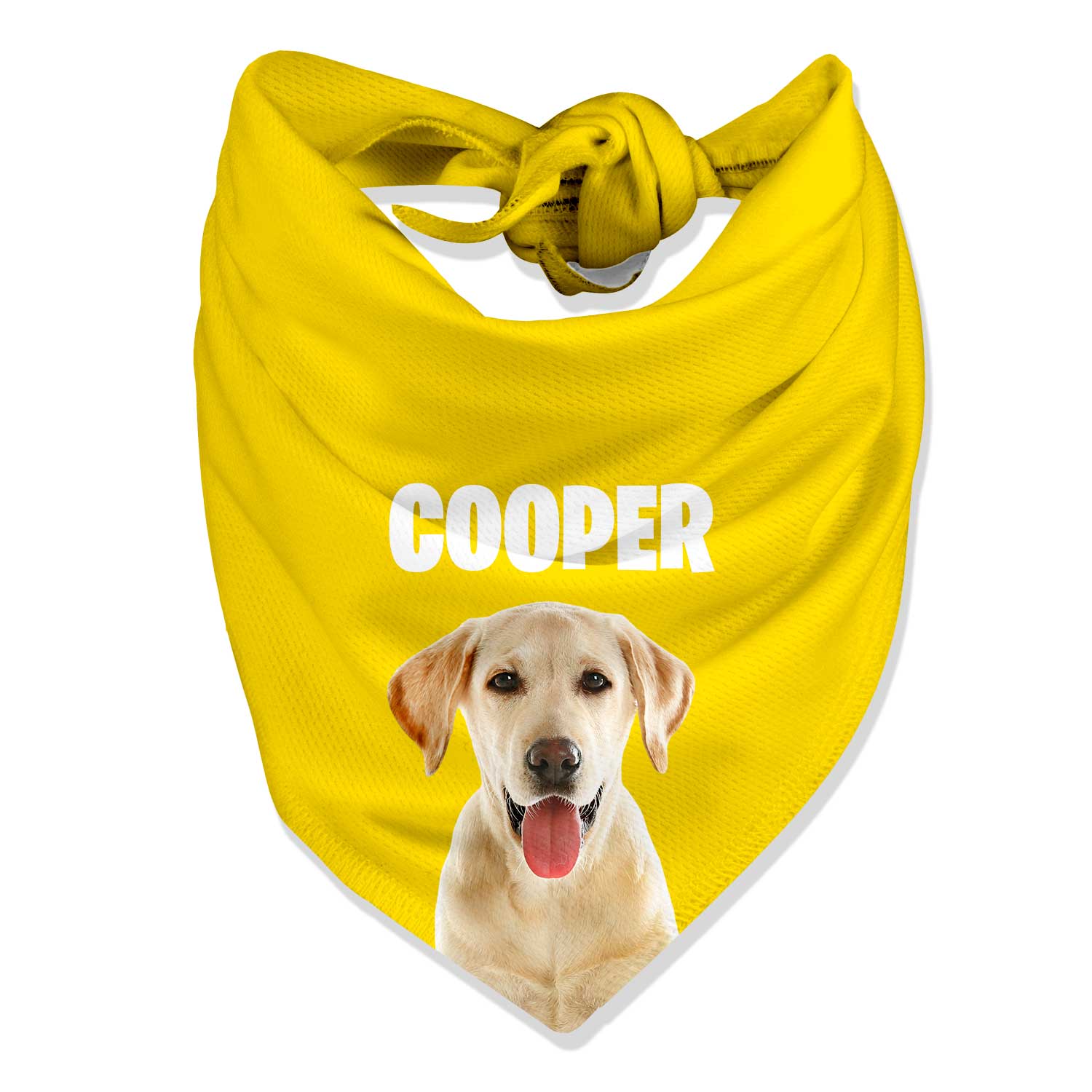Your Dog Name Personalized Bandana