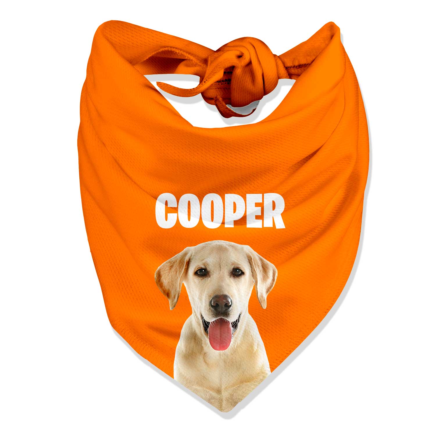 Your Dog Name Personalized Bandana