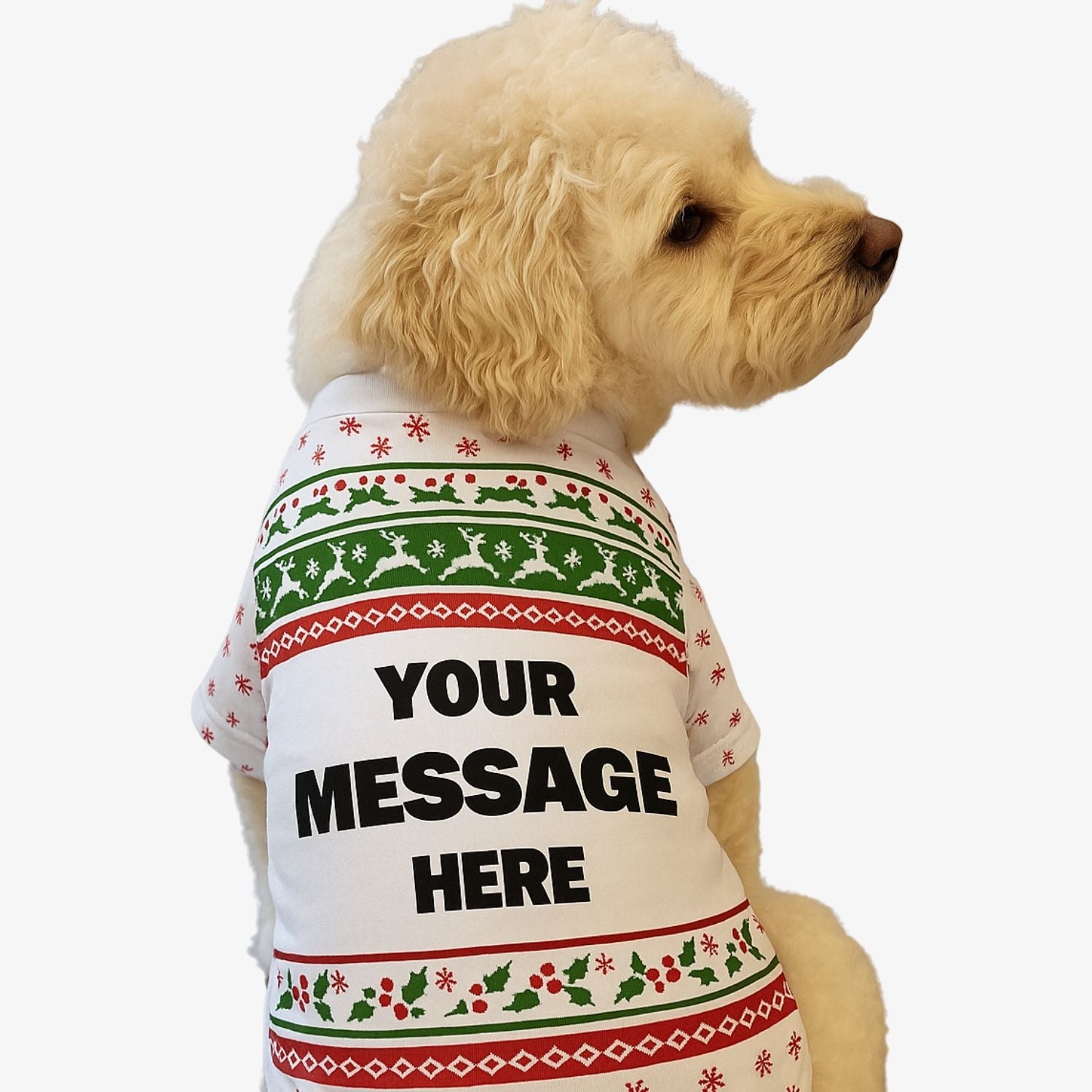 Custom Message Personalized Christmas Dog T Shirt