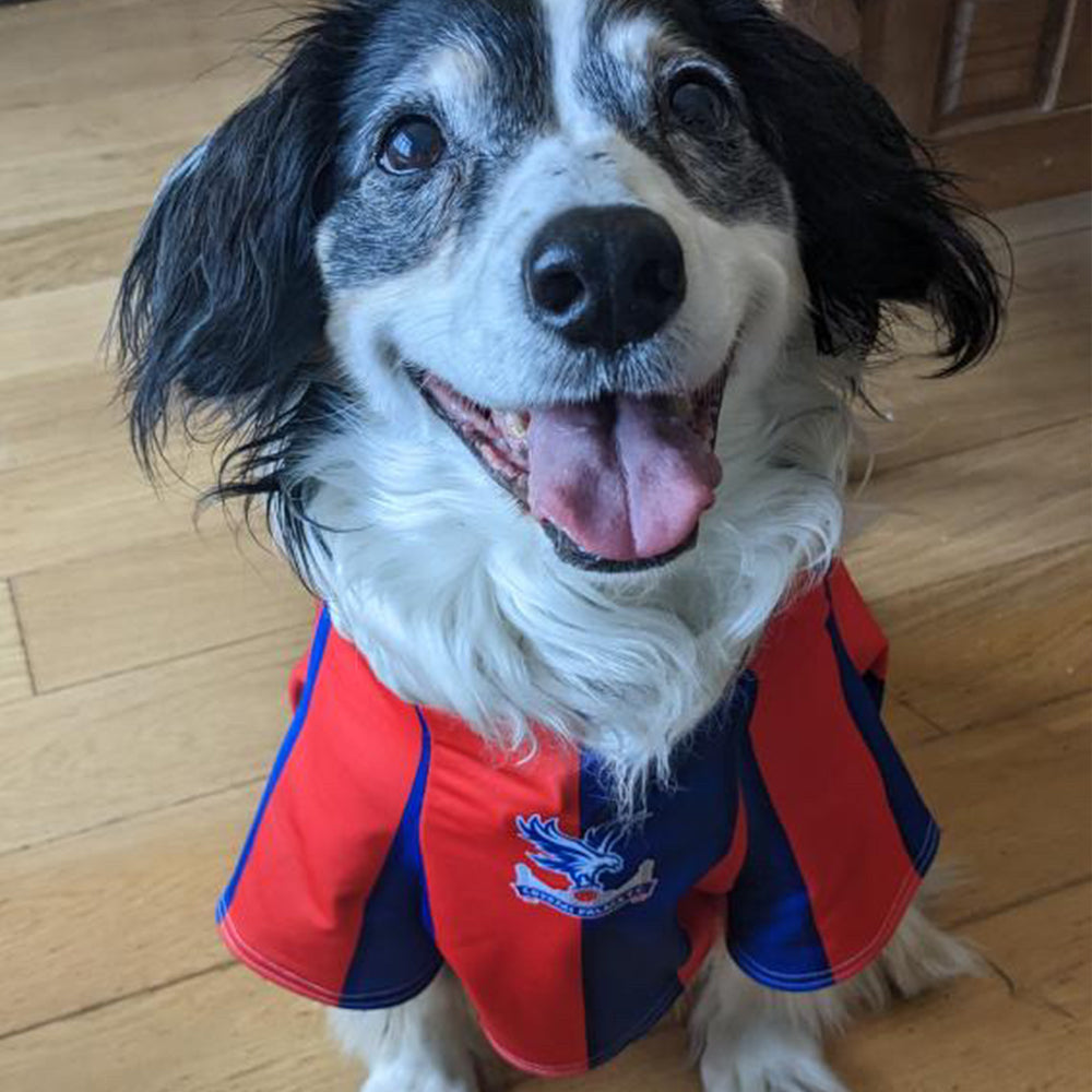 Crystal Palace Personalized football Dog Shirt