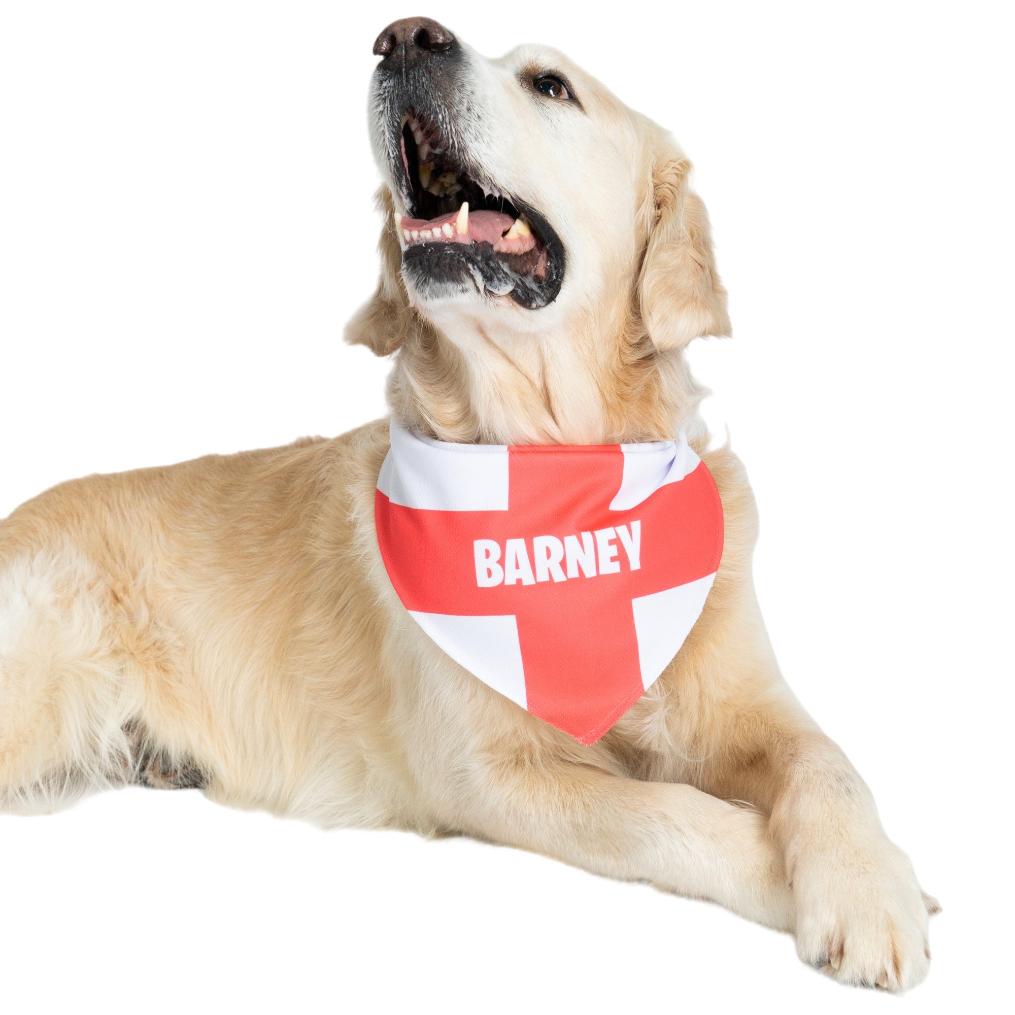 england football dog bandana
