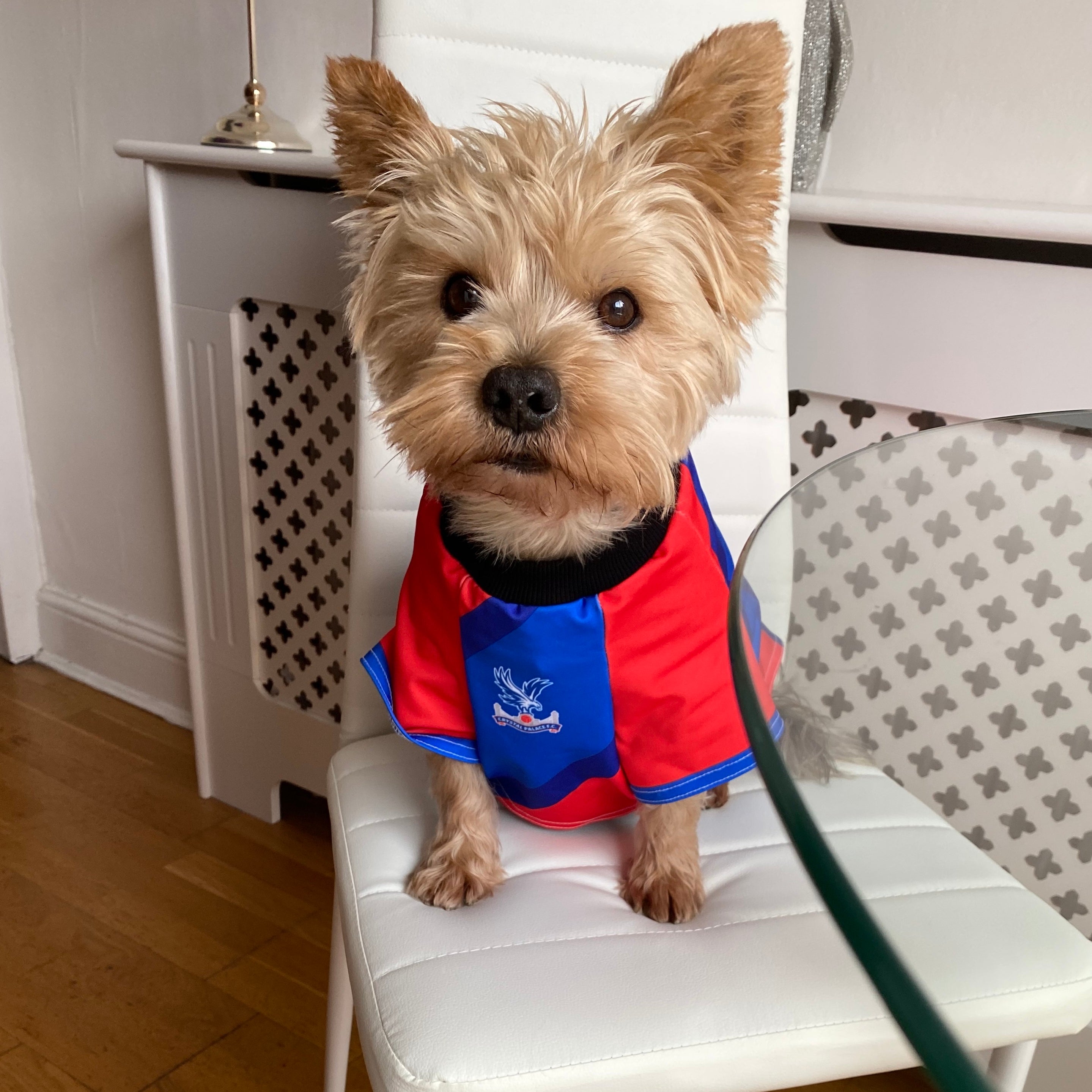 Crystal Palace Personalized Dog Shirt