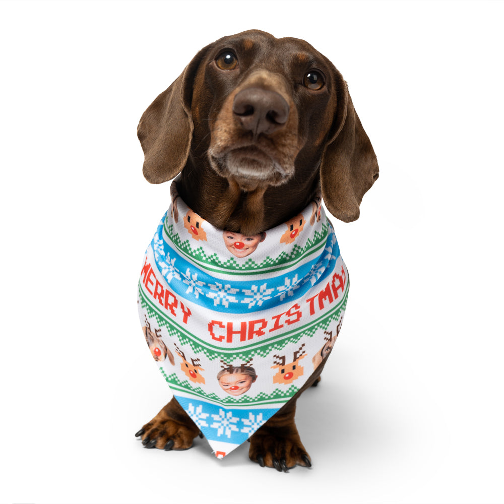 Dog & Owner Personalized Merry Christmas Bandana
