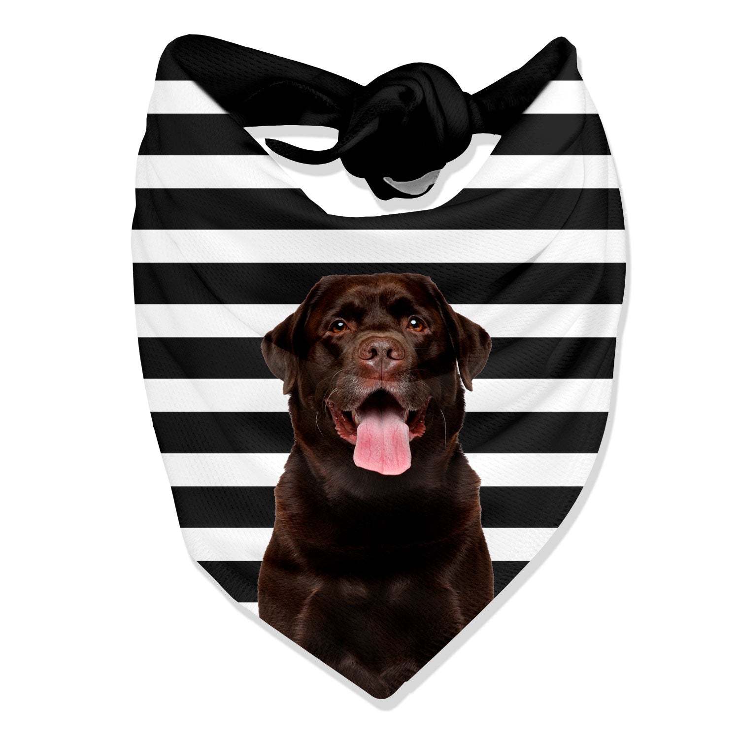 The Dogsy Stripe Bandana