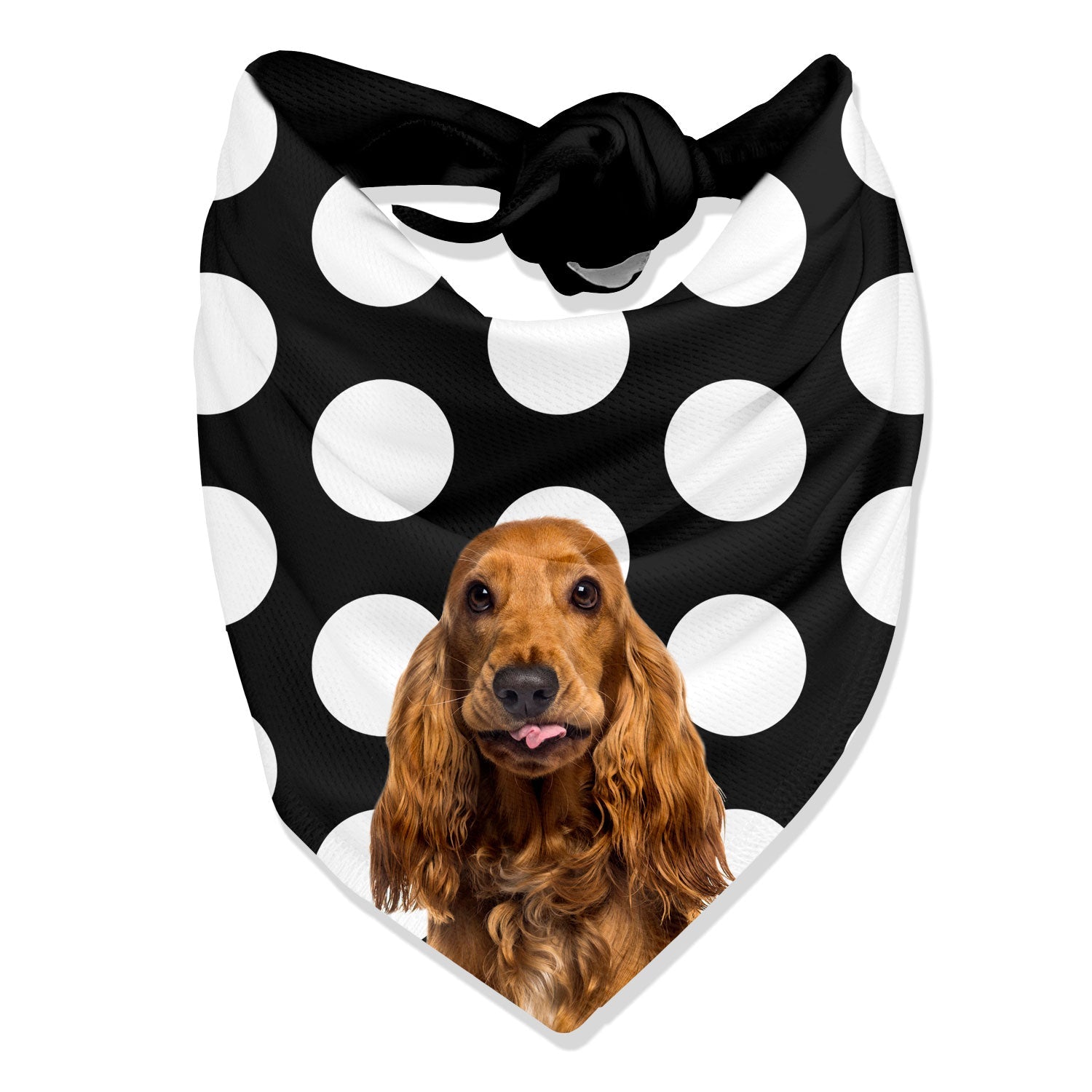 The Dogsy Spotty Bandana