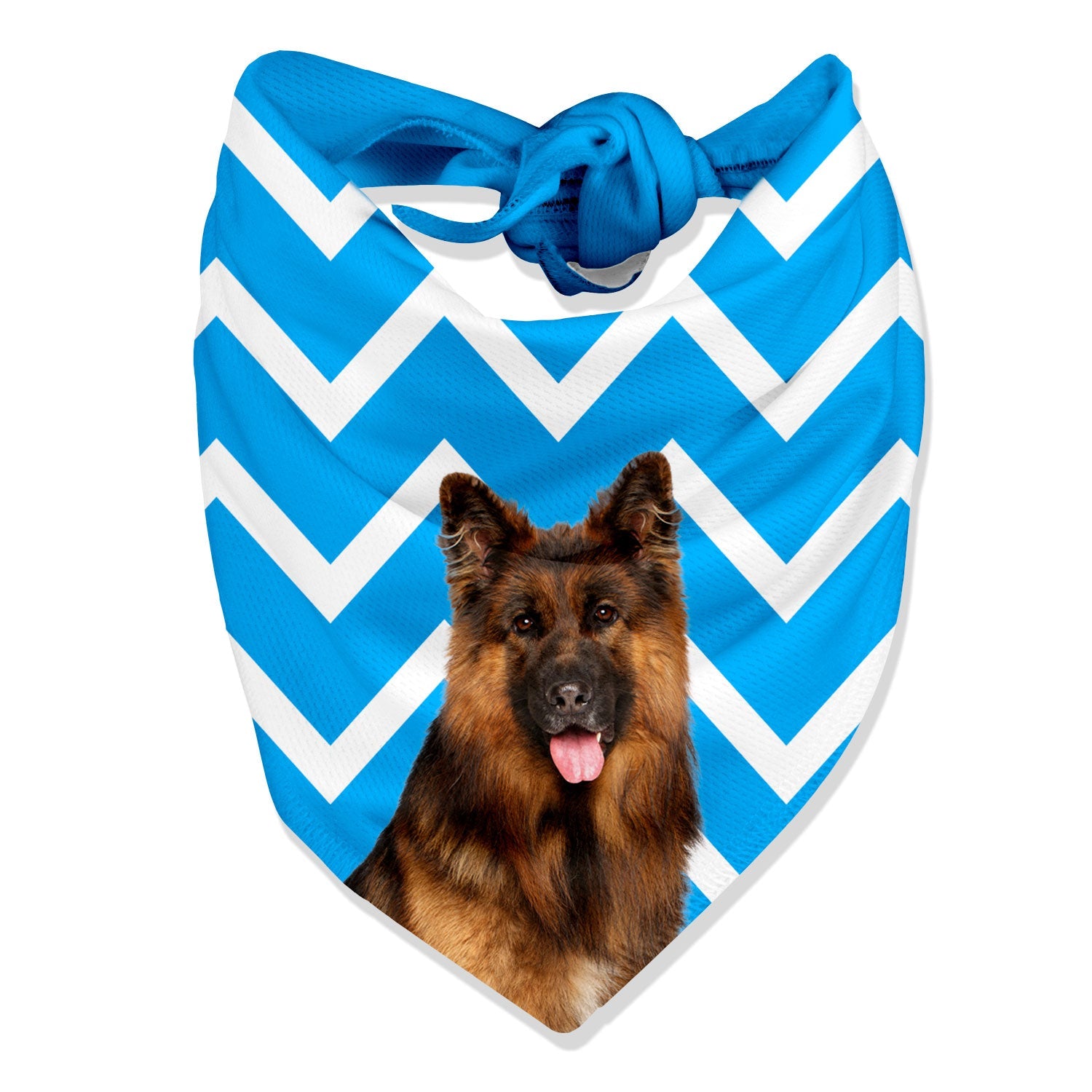 The Dogsy Zigzag Bandana