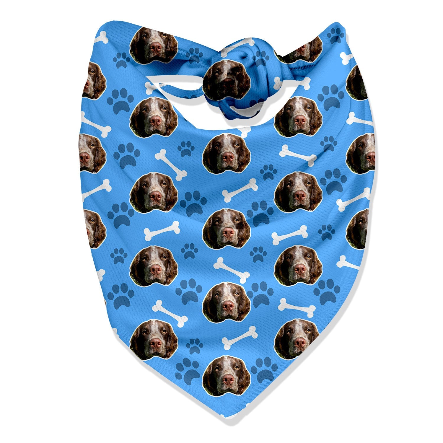 The Dogsy Bandana
