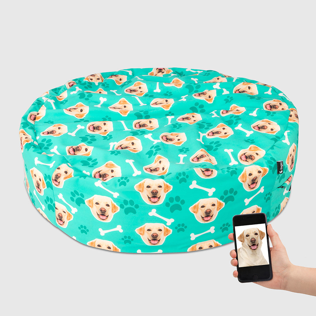 Dog Face On A Beanbag