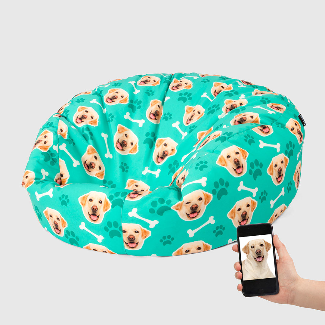 Your Dog On A Beanbag