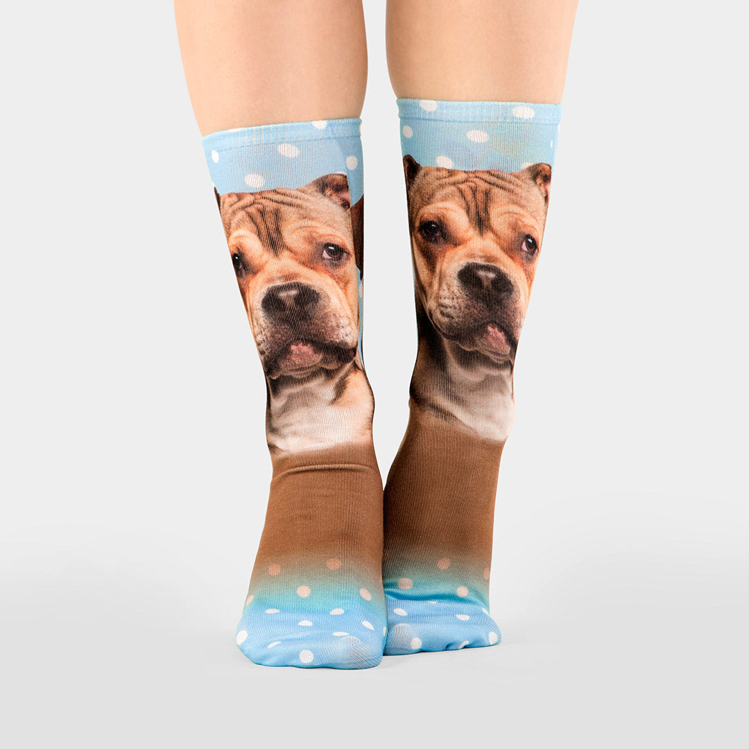 Your Dog On Socks