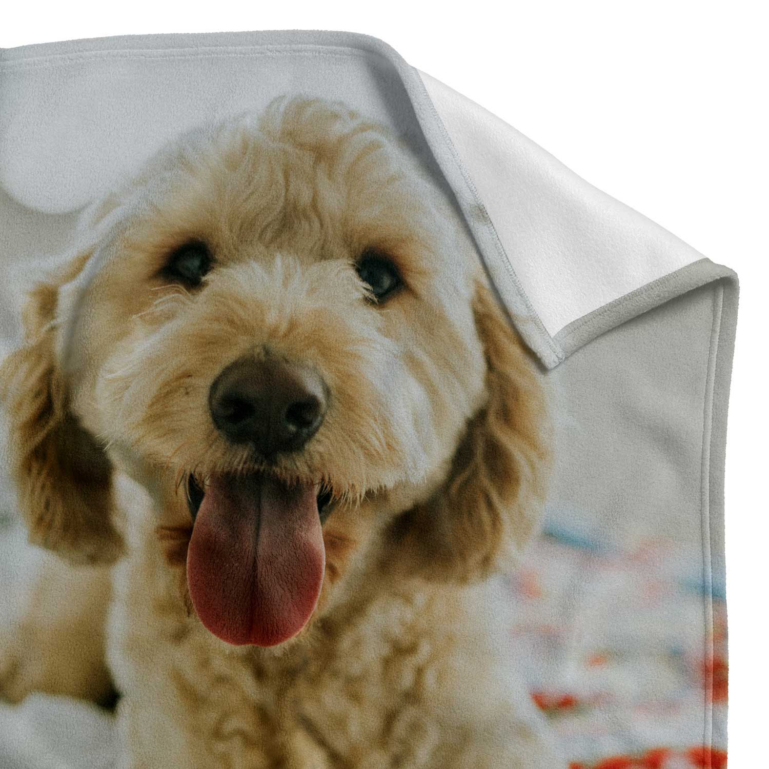 Photo Dog Blanket