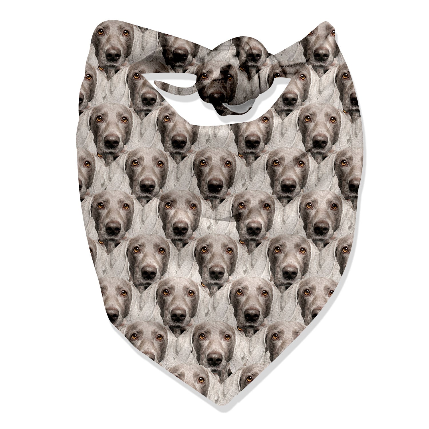 The Dogsy Mash Up Bandana