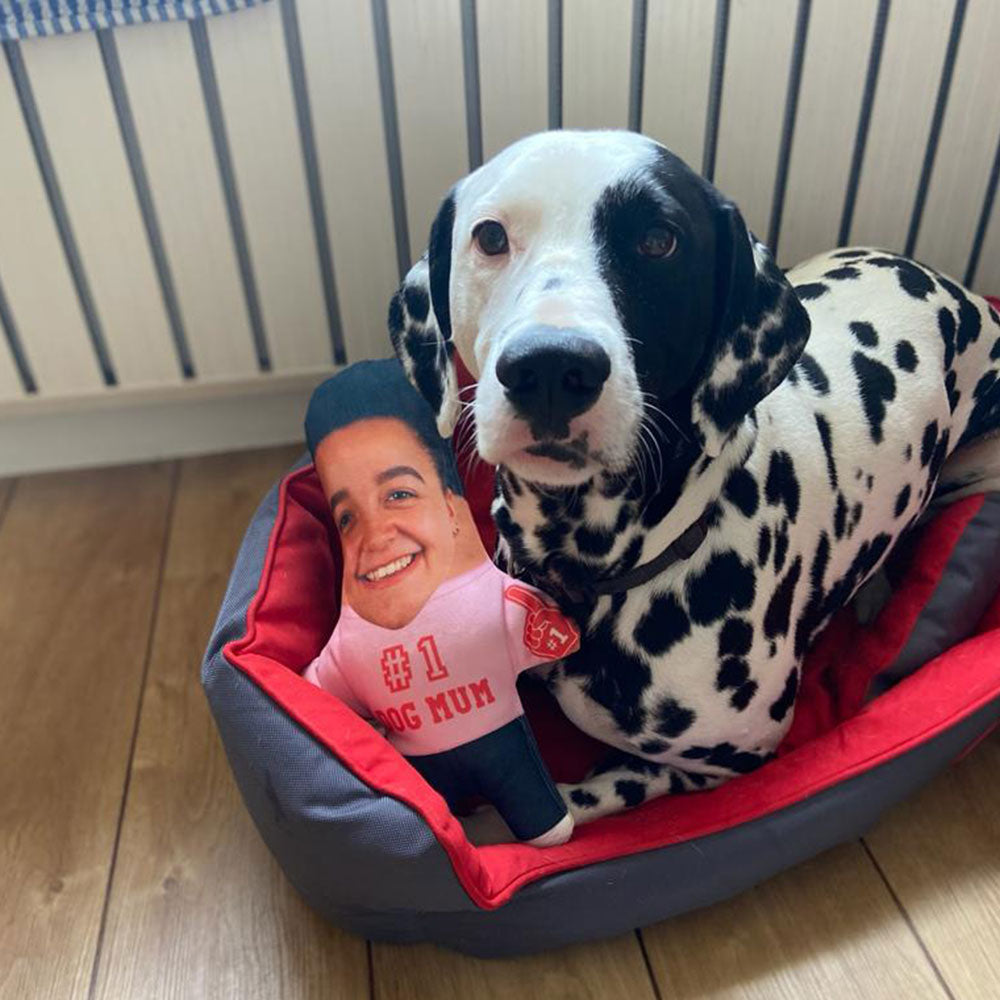 Number 1 Dog Mum Dog Toy