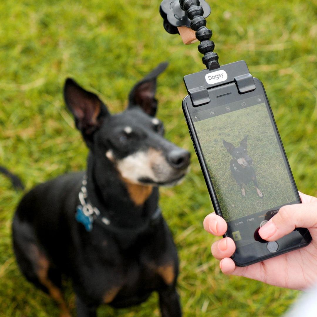 Take Selfies Of Your Dog