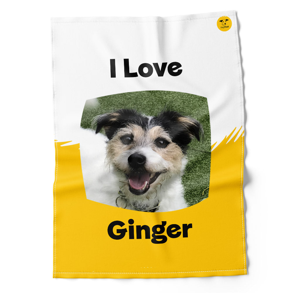 Ginger Sponsors Tea Towel