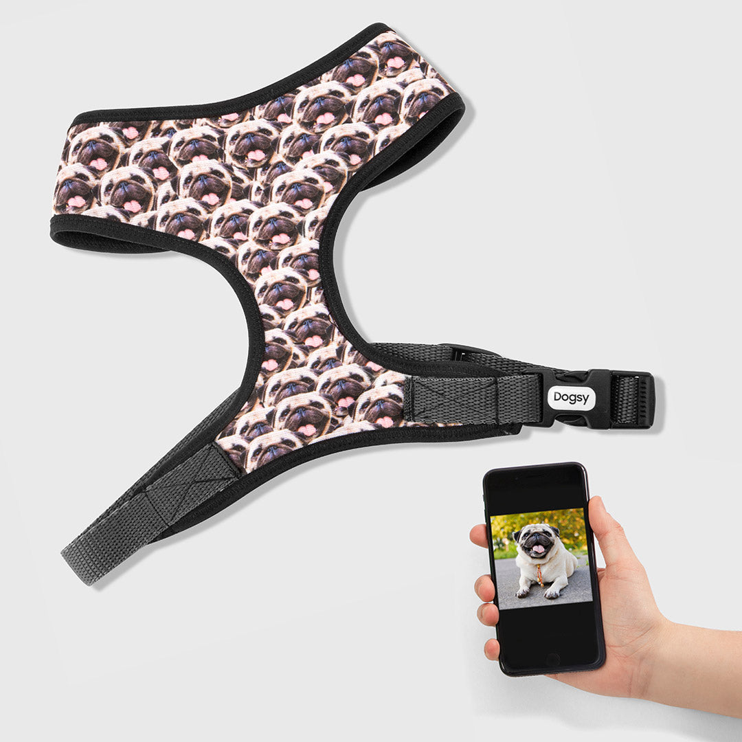 Photo Mash Dog Harness