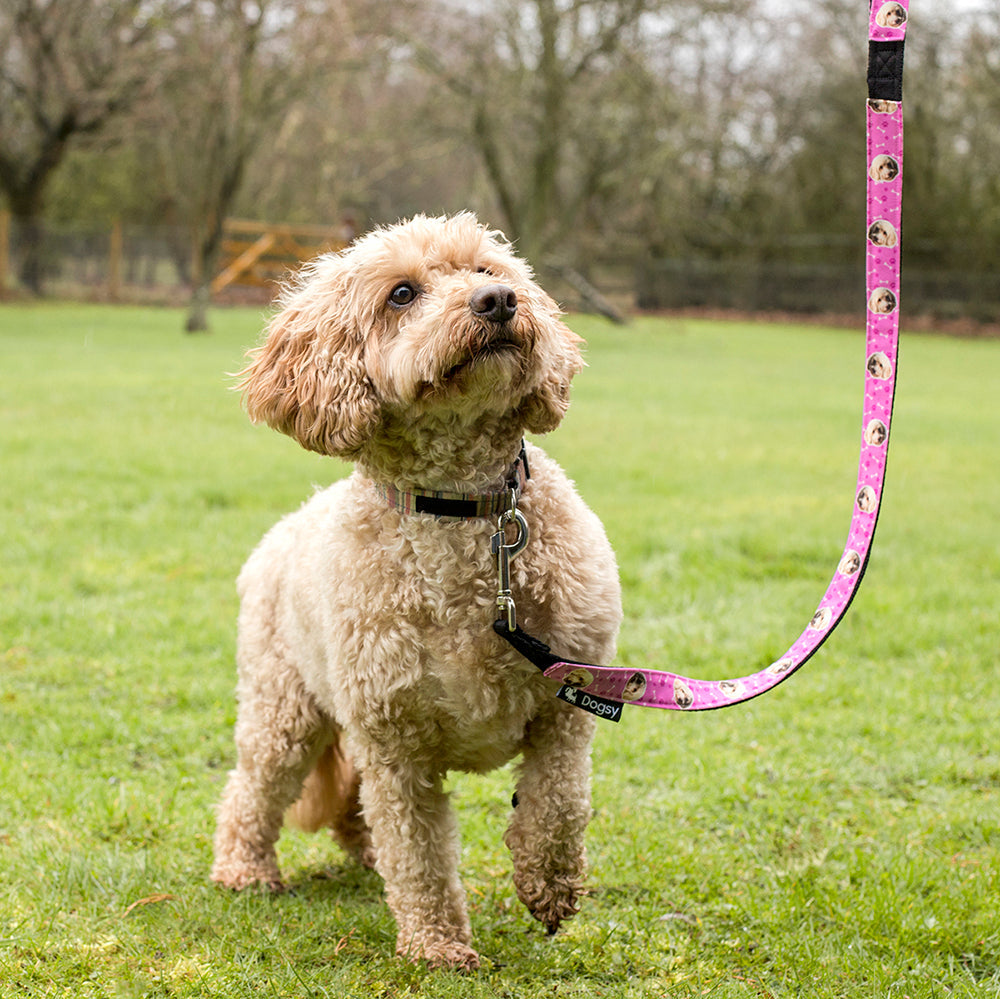 Personalised Dog Photo Lead