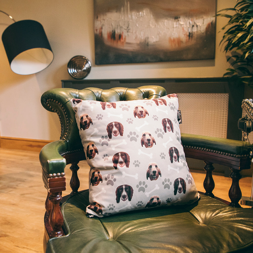 Dog Cushion