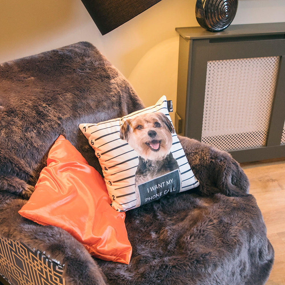 Dog Face Jail Cushion