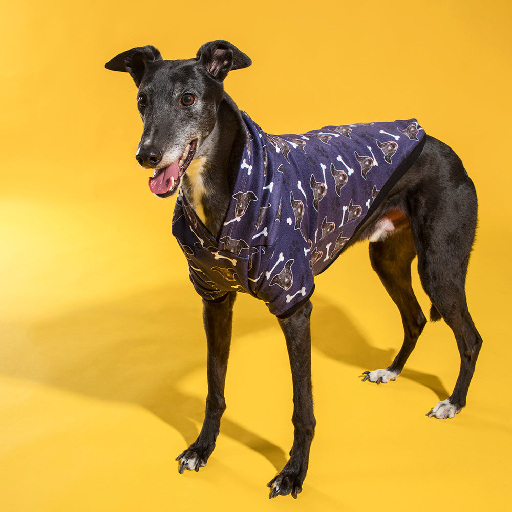 Personalised Dog Hoodie